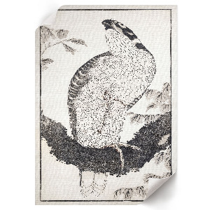 Decorative poster featuring a bird motif