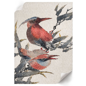 Poster featuring birds