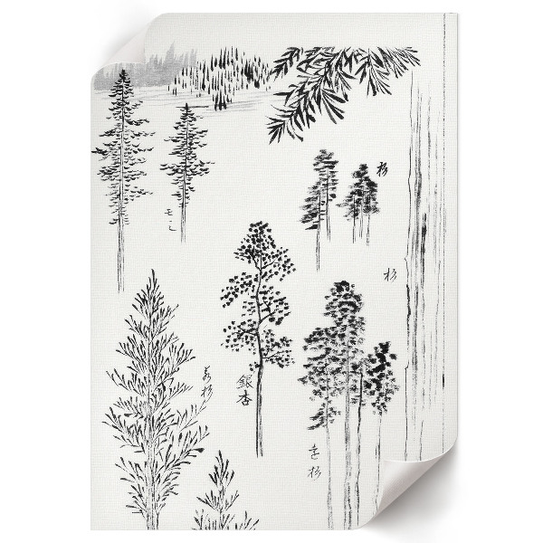 Poster Pine trees
