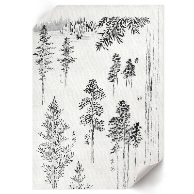 Poster Pine trees