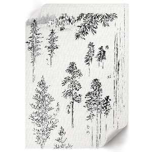 Poster featuring pine trees