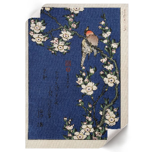 Wall print featuring a robin perched on a branch