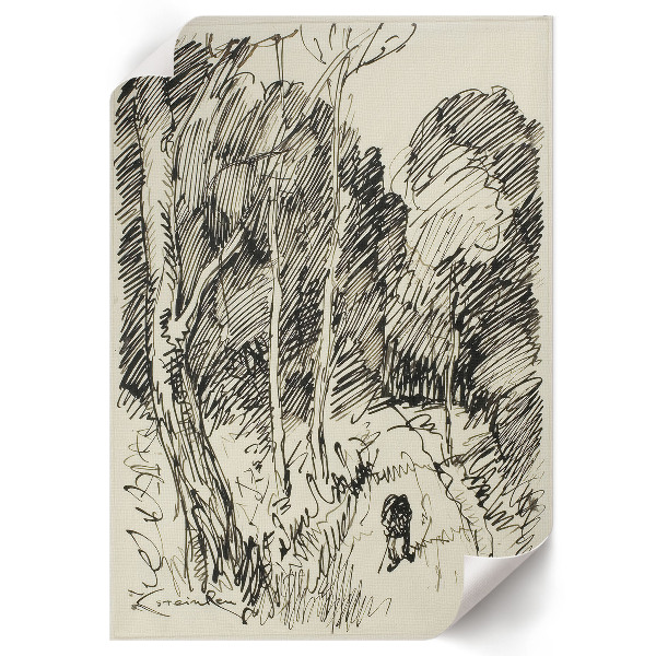 Wall print Forest landscape