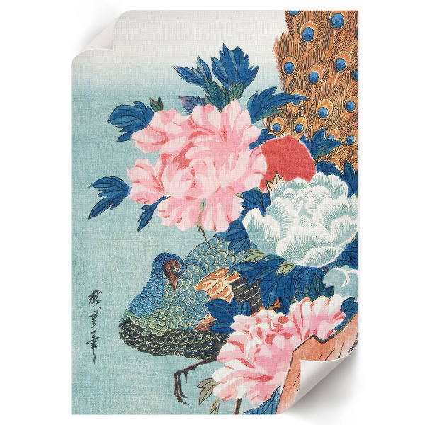 Art print Peacock and peonies