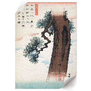 Poster featuring a Japanese pine