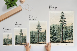 Art print Wellingtonia