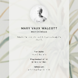 Poster Wild pineapple