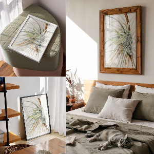 Poster Wild pineapple