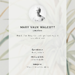 Poster Wild pineapple