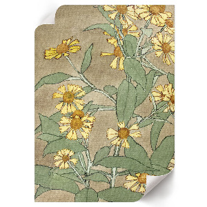 Wall art featuring daisies