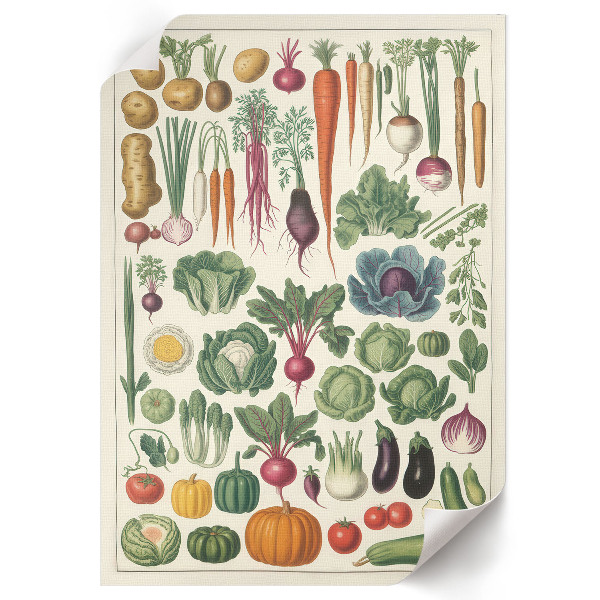 Decorative poster Types of vegetables