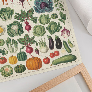 Decorative poster Types of vegetables