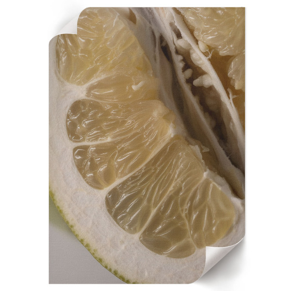 Wall print with a citrus fruit motif
