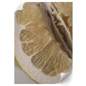 Wall print with a citrus fruit motif