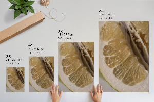 Wall print with a citrus fruit motif
