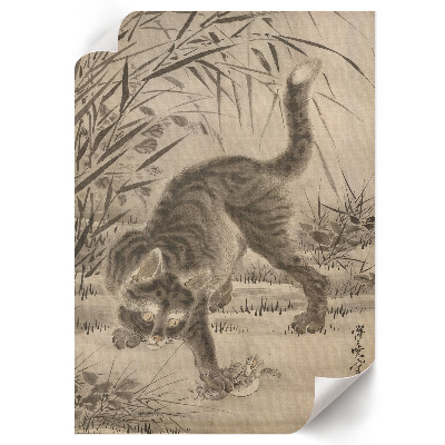Decorative poster Cat catching a frog
