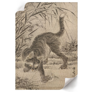 Decorative poster Cat catching a frog