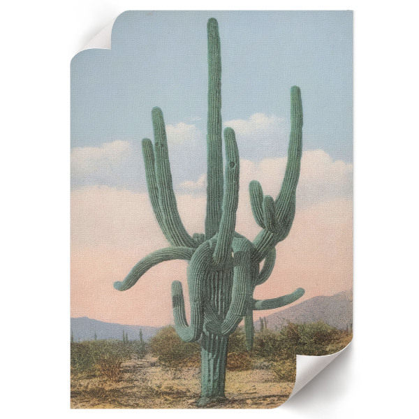 Wall art Big cactus