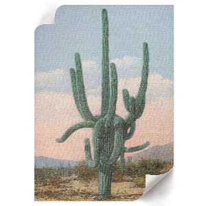 Wall art featuring a large cactus