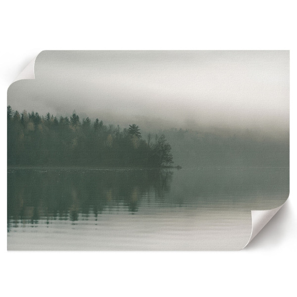 Modern wall art poster depicting a foggy forest