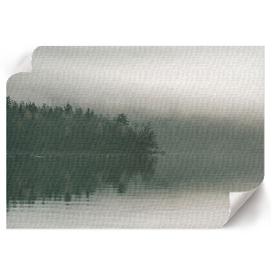Modern wall art poster depicting a foggy forest