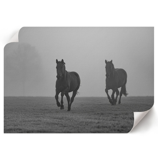 Premium wall art featuring horses running