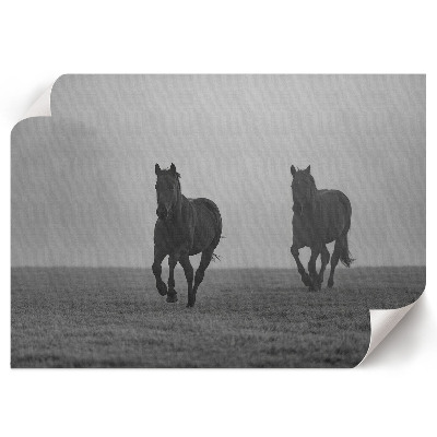 Premium wall art featuring horses running