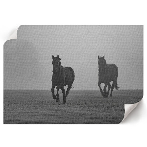 Premium wall art featuring horses running
