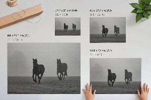 Premium wall art featuring horses running