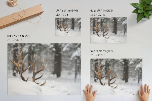 Premium wall art featuring antlers in the snow