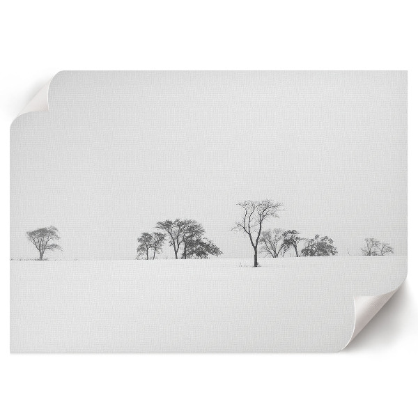 Wall poster Trees in winter