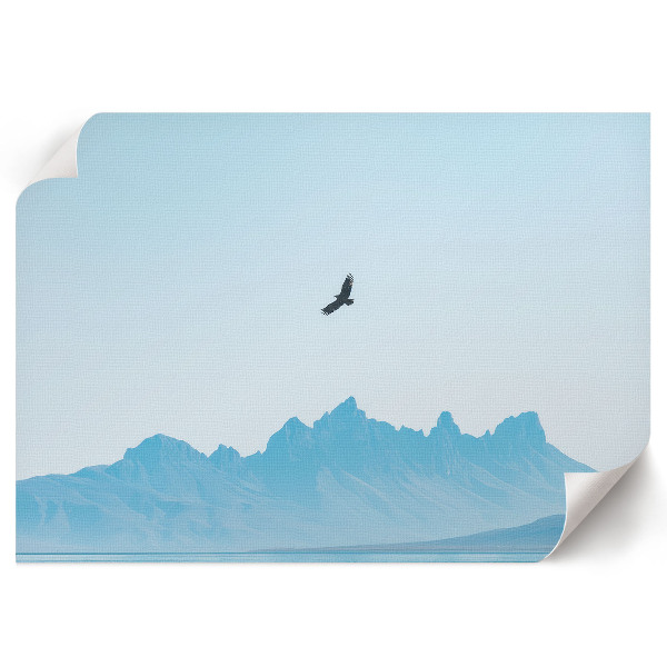 Modern wall art poster Mountain freedom