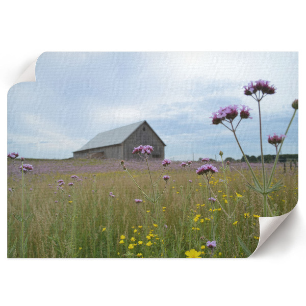 Premium wall art featuring a rural landscape