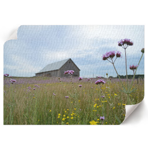 Premium wall art featuring a rural landscape