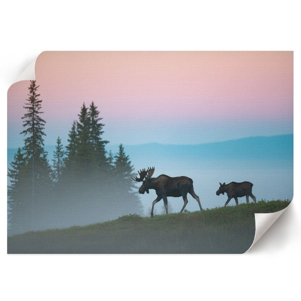 Canvas poster Moose walking