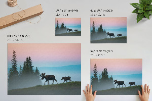 Canvas poster featuring a moose walking