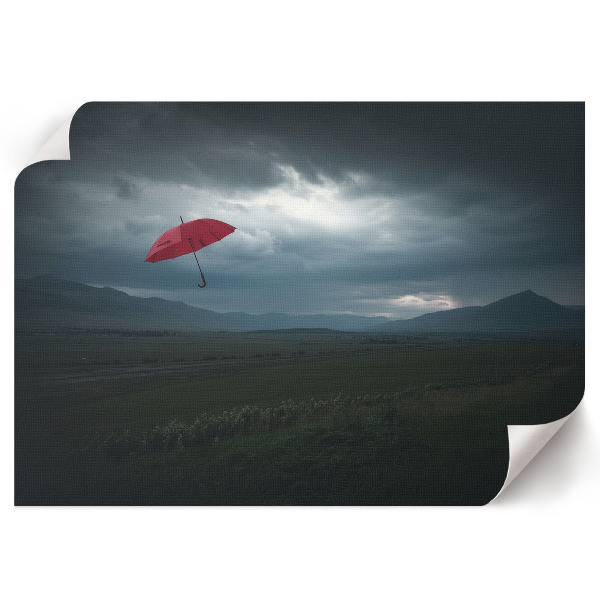 Premium wall art titled "Flying Umbrella"