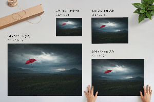 Premium wall art Flying umbrella