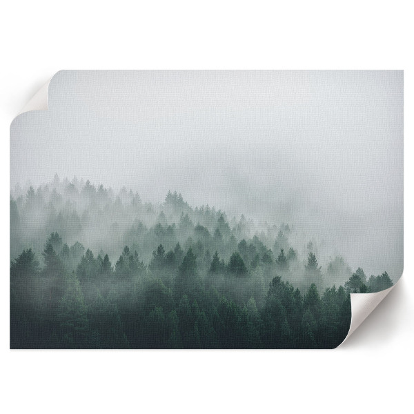 Misty forest wall poster