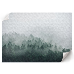 Misty forest wall poster