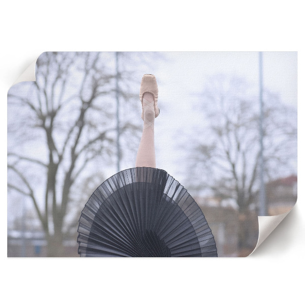 Wall poster featuring an elegant ballet scene