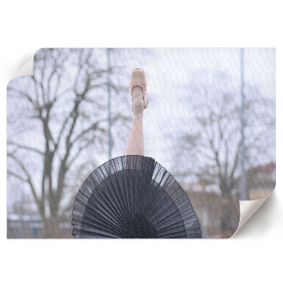 Wall poster featuring an elegant ballet scene