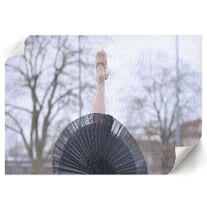 Wall poster featuring an elegant ballet scene