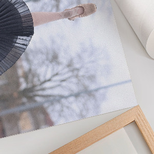 Wall poster Elegant ballet