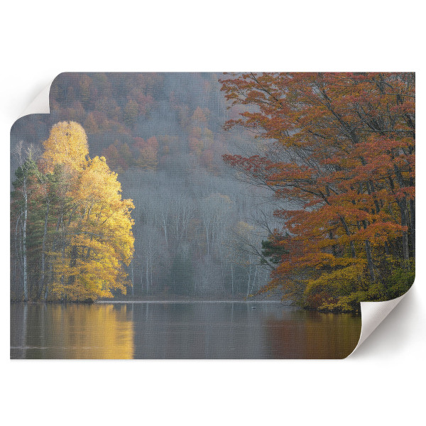 Premium wall art depicting an autumn landscape