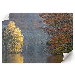 Premium wall art depicting an autumn landscape