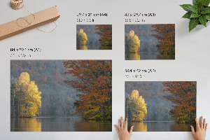 Premium wall art depicting an autumn landscape