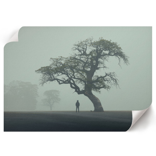 Modern wall art poster Tree in the fog