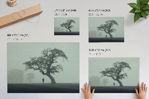 Modern wall art poster Tree in the fog