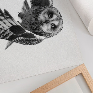 Canvas poster Owl in flight